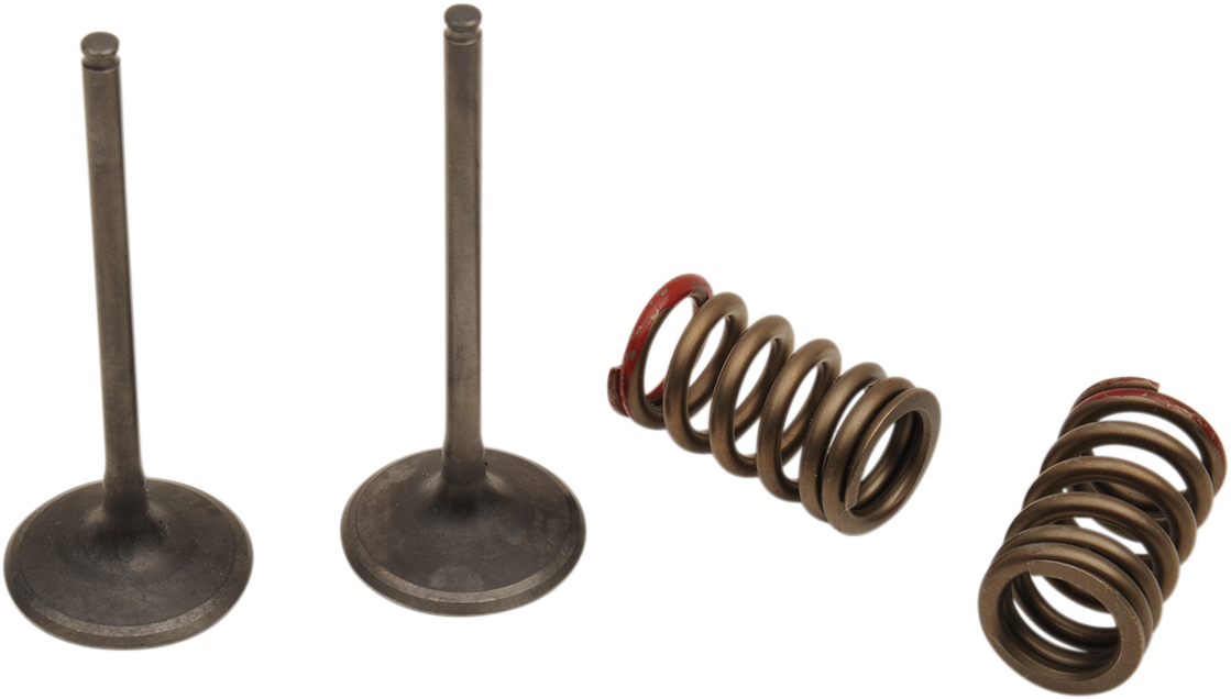 Valve and Spring Kit - Intake - Kawasaki | Suzuki