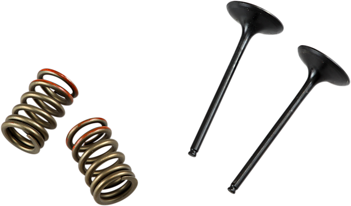 Valve and Spring Kit - Intake - Kawasaki