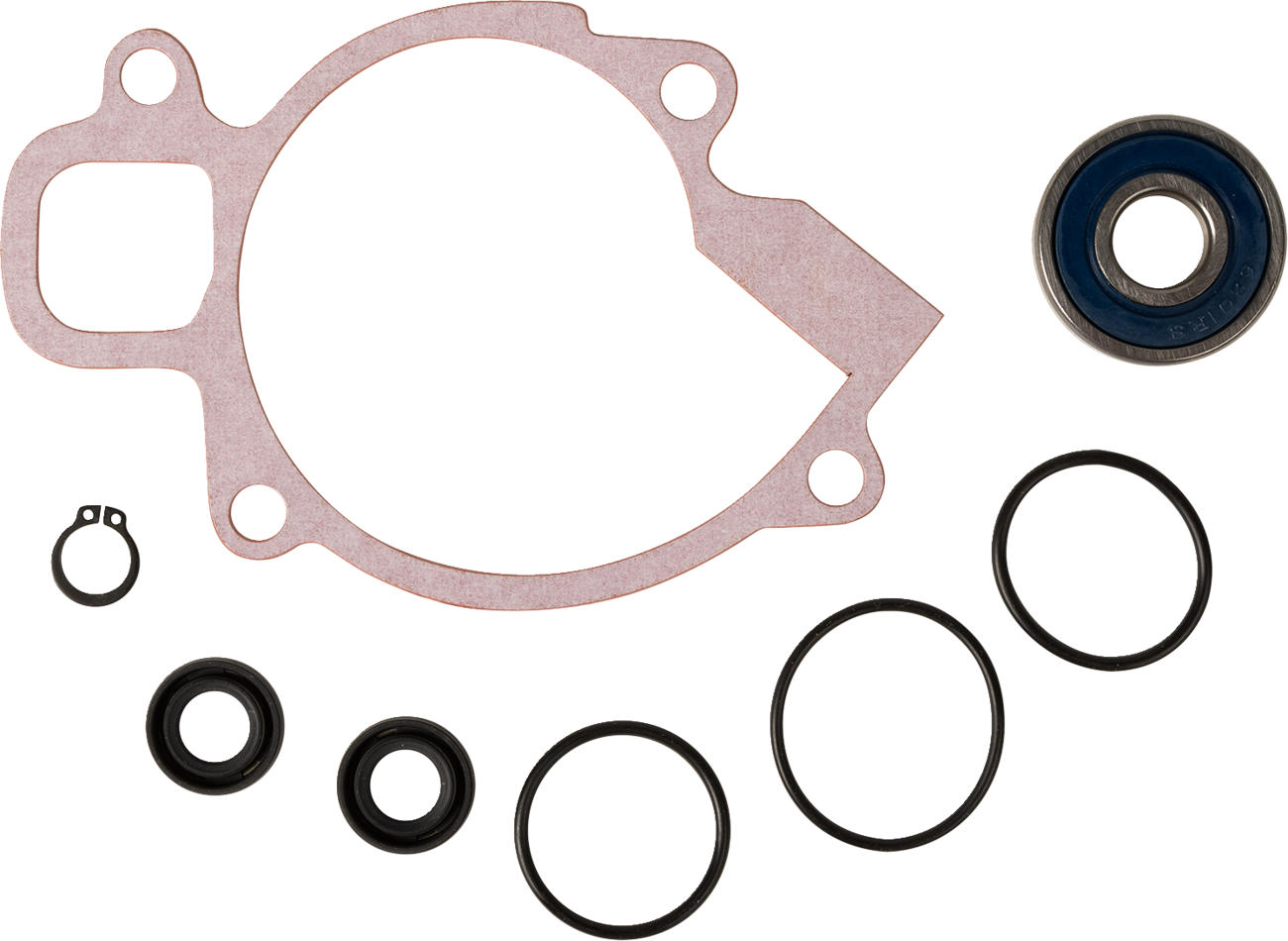 Water Pump Rebuild Kit - KTM