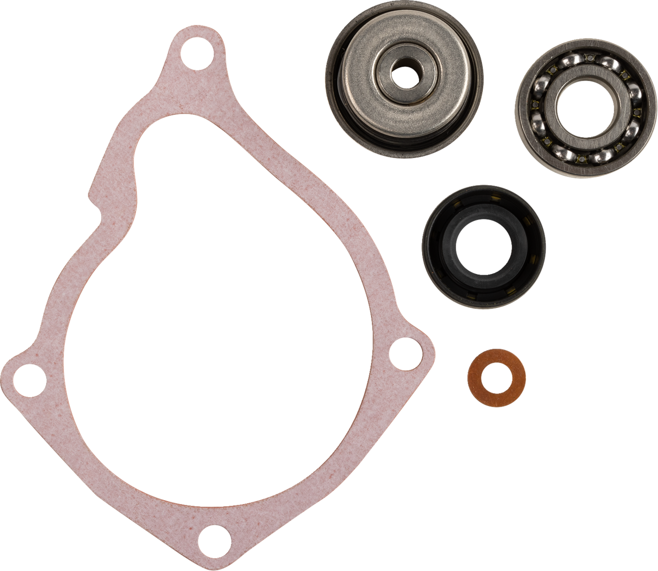 Water Pump Rebuild Kit - Polaris