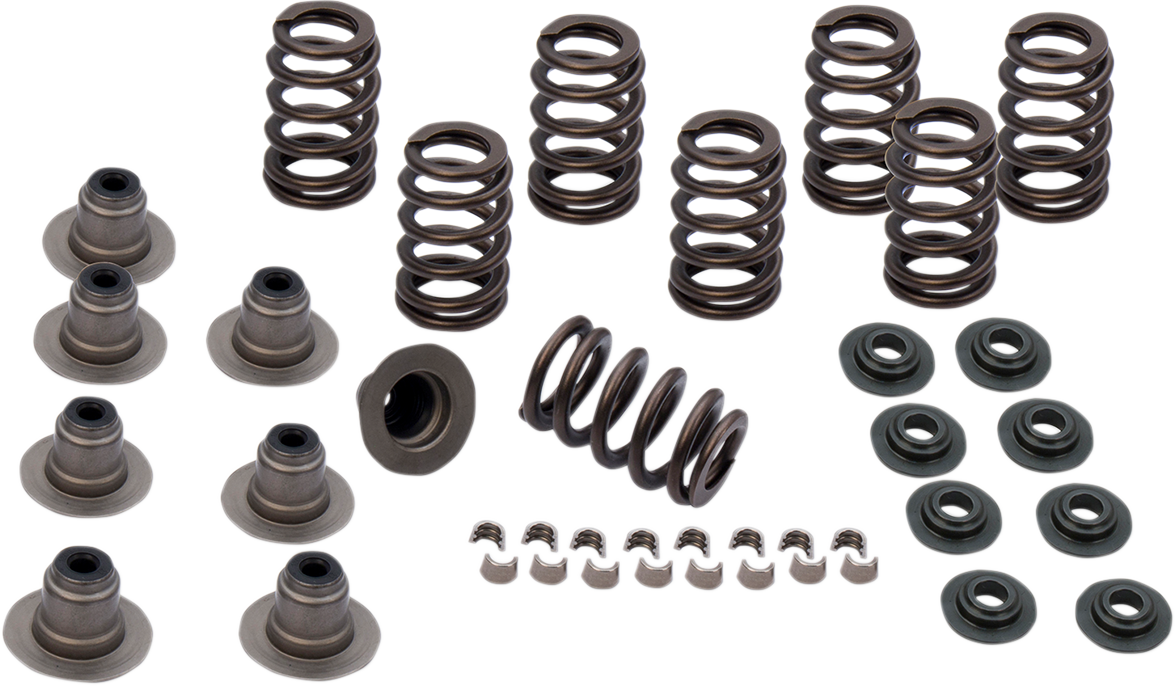 Valve Spring Kit - 0.605" - Heavy Duty - M8