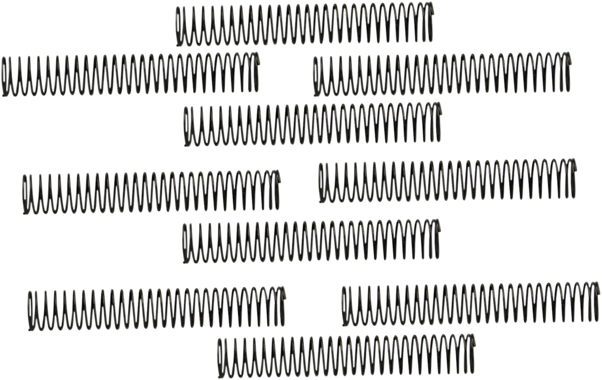 Oil Pump Check Valve Spring - 10 Pack - Big Twin