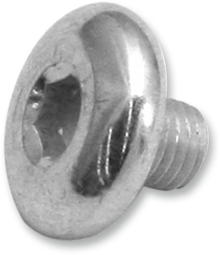 Replacement Air Cleaner Screw - Breather Screw - 5/16"