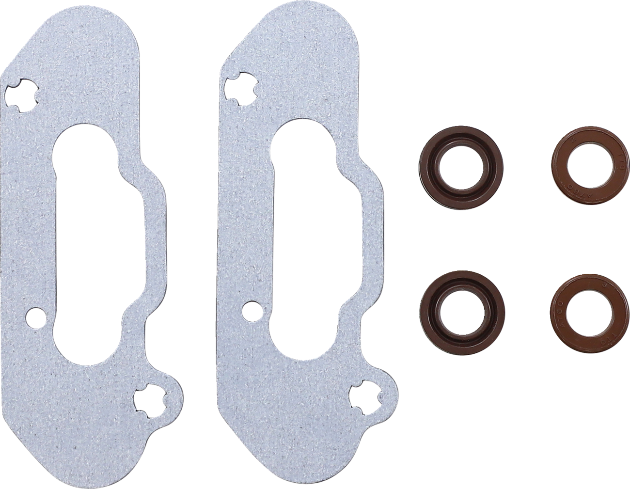 Exhaust Valve Gasket Kit - Ski-Doo
