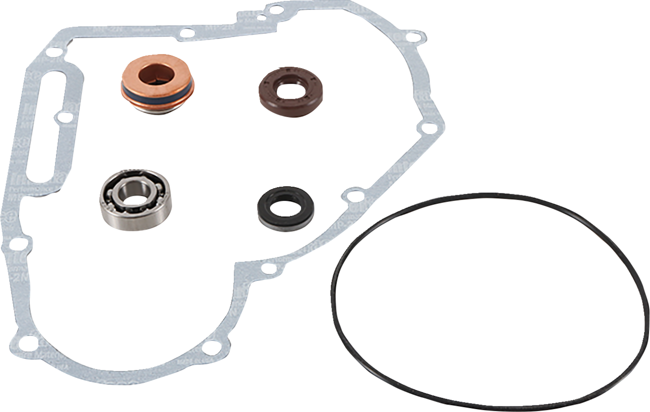 Water Pump Repair Kit - Polaris