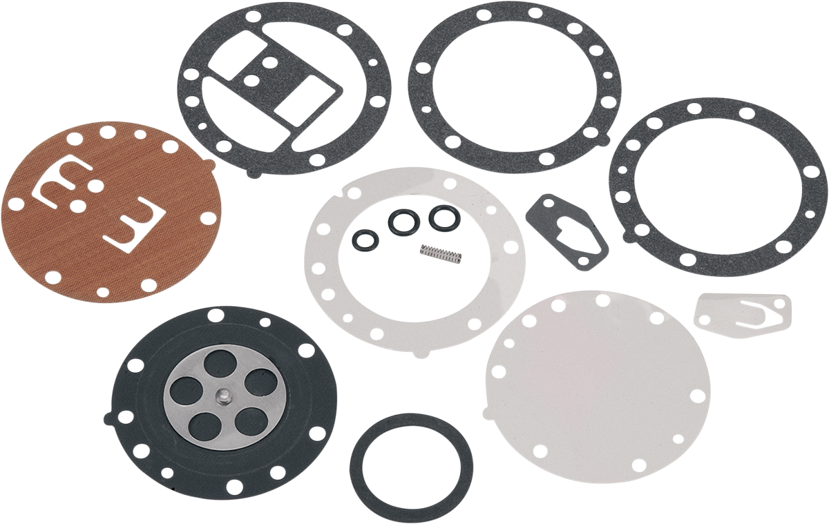 Complete Carburetor Repair Kit - Mikuni