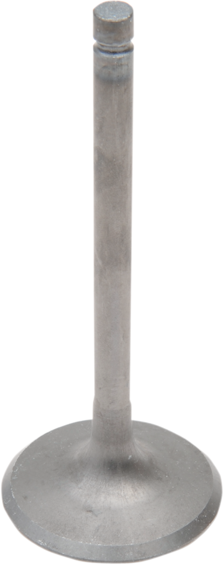 Intake Valve - Honda