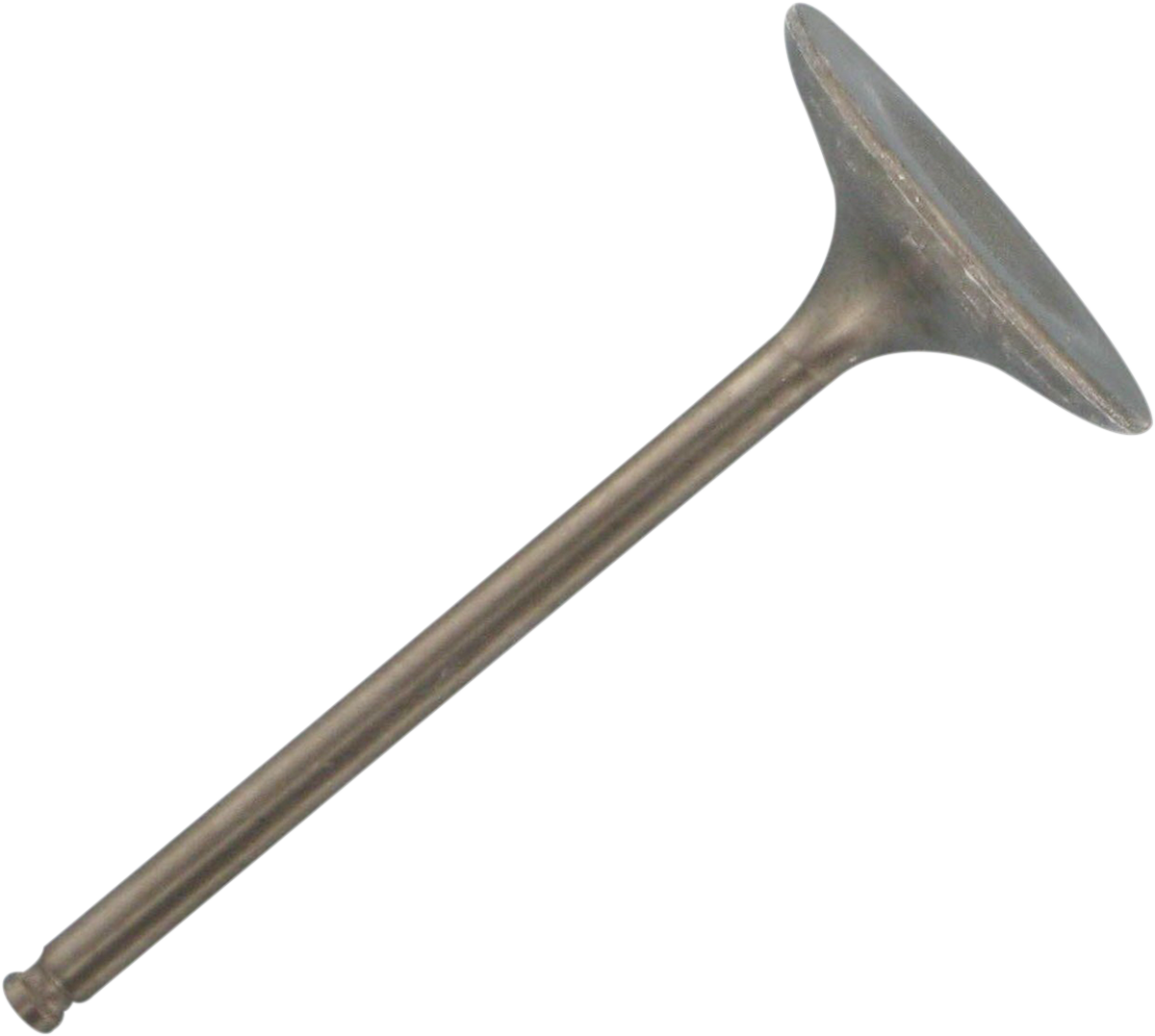 Intake Valve - Honda