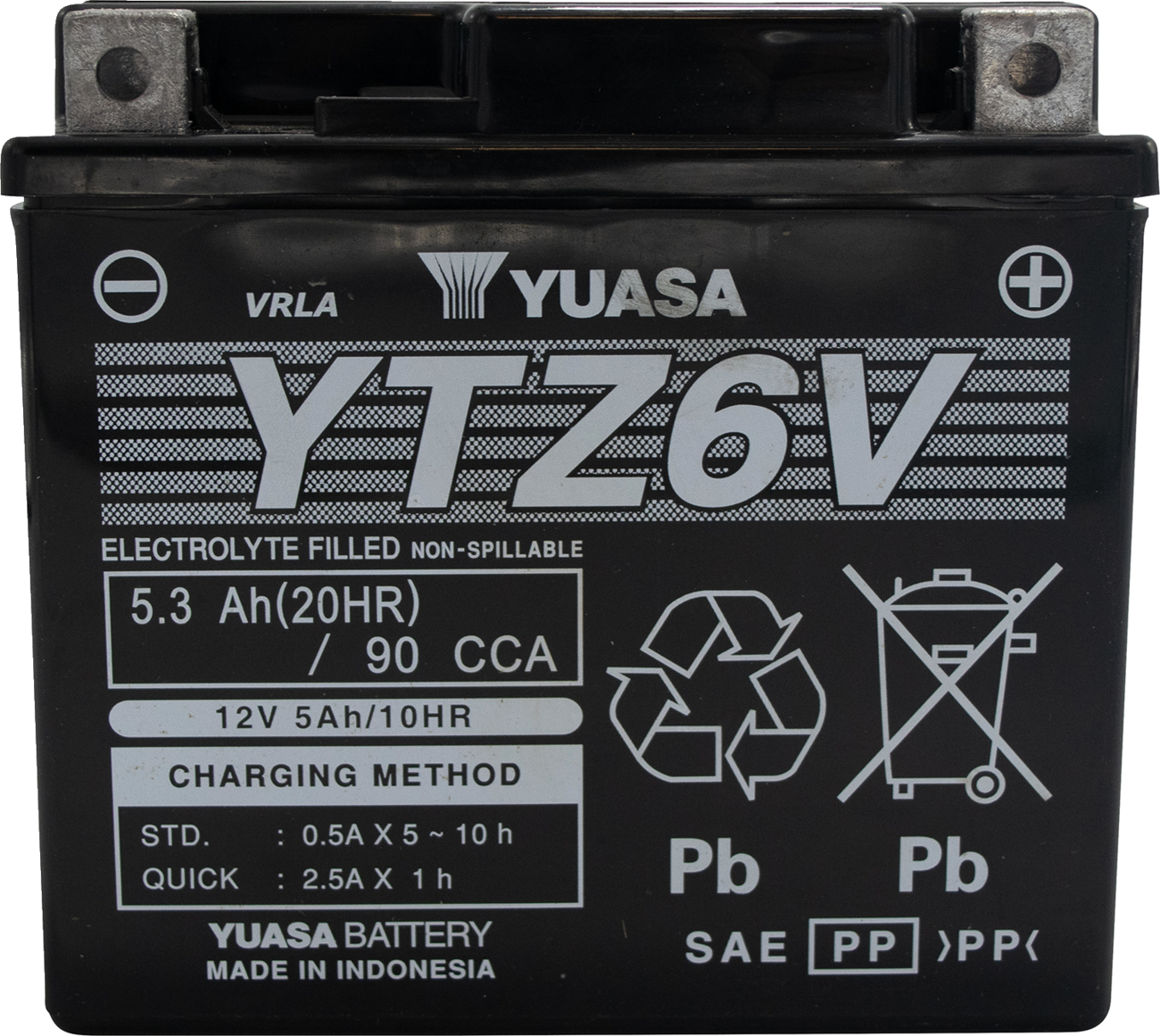 Battery - YTZ6V