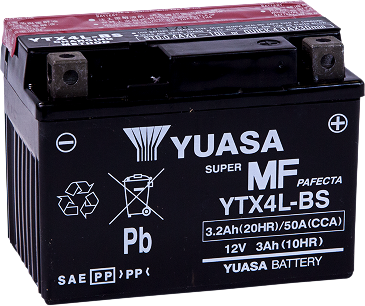 AGM Battery - YTX4L-BS - .174 L